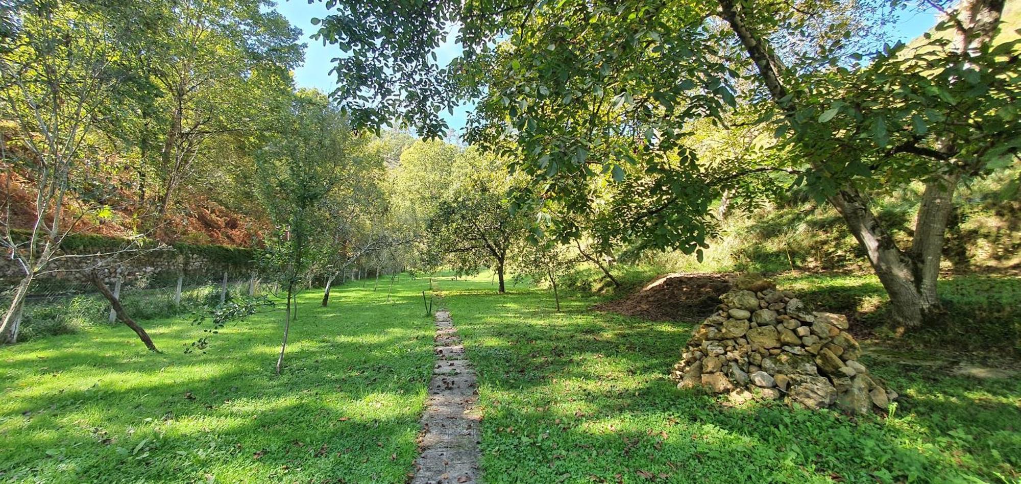 La Casona De La Vega Junto A Onís Exteriör bild